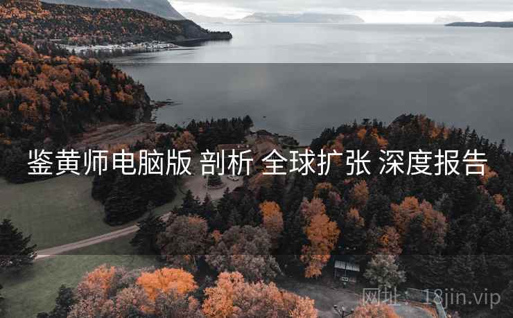 鉴黄师电脑版 剖析 全球扩张 深度报告  第1张