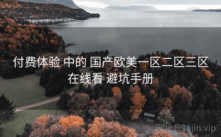 付费体验 中的 国产欧美一区二区三区在线看 避坑手册  第1张