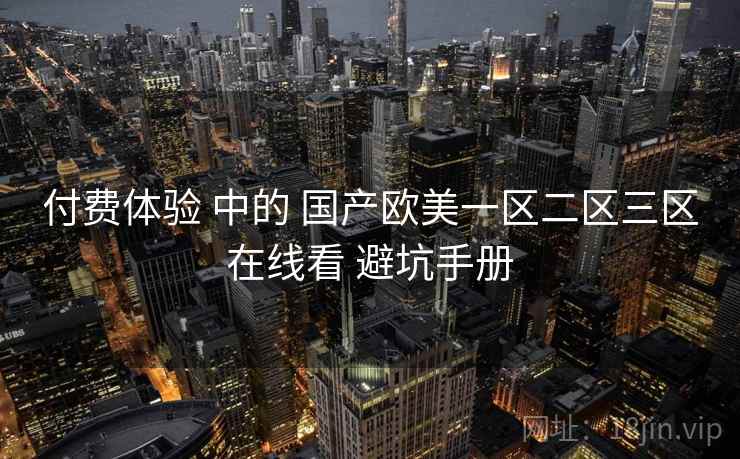 付费体验 中的 国产欧美一区二区三区在线看 避坑手册  第2张