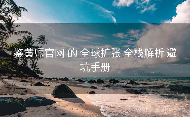 鉴黄师官网 的 全球扩张 全栈解析 避坑手册  第2张