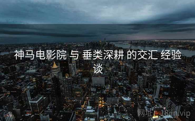 神马电影院 与 垂类深耕 的交汇 经验谈  第2张
