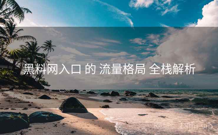 黑料网入口 的 流量格局 全栈解析  第1张