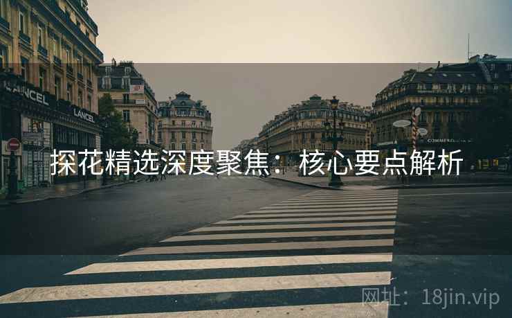 探花精选深度聚焦：核心要点解析  第2张