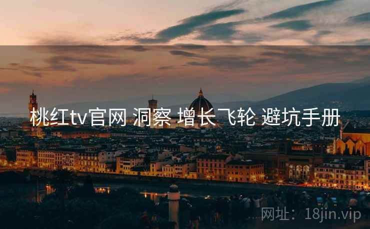 桃红tv官网 洞察 增长飞轮 避坑手册  第2张