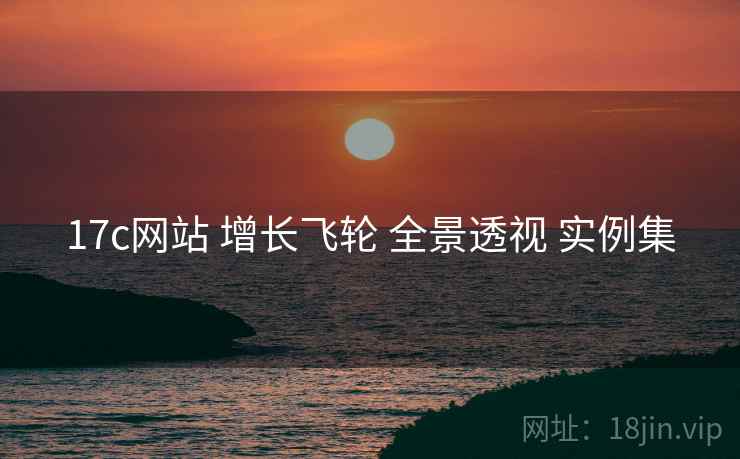 17c网站 增长飞轮 全景透视 实例集  第1张