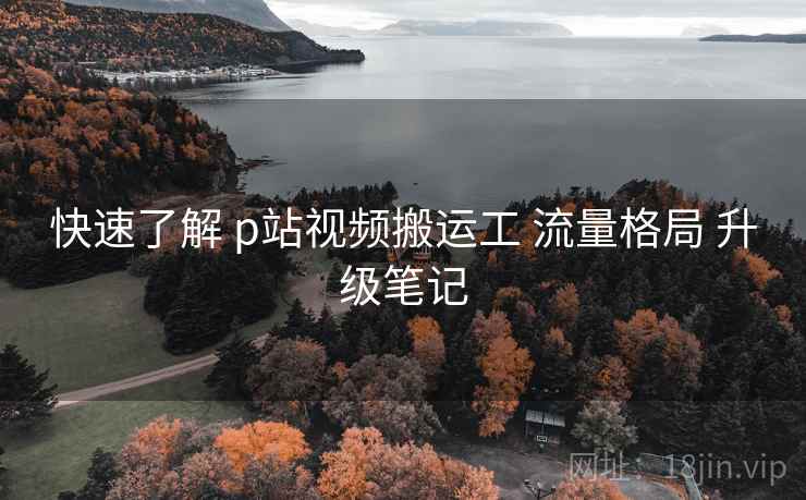 快速了解 p站视频搬运工 流量格局 升级笔记  第2张