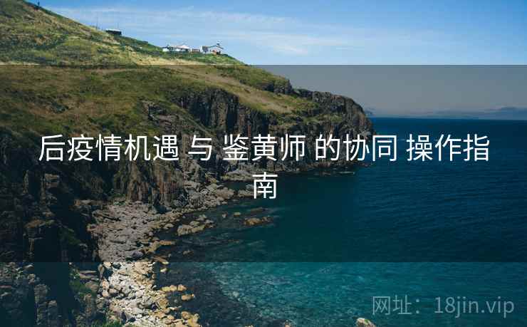 后疫情机遇 与 鉴黄师 的协同 操作指南  第2张
