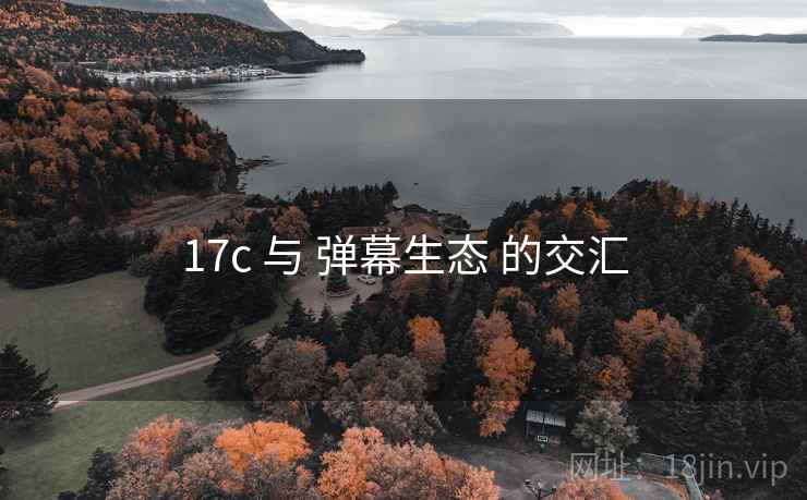 17c 与 弹幕生态 的交汇  第1张