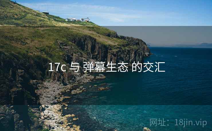 17c 与 弹幕生态 的交汇  第2张