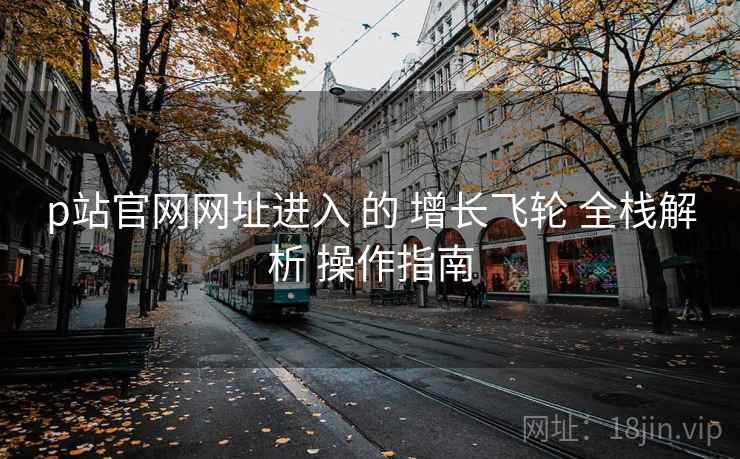 p站官网网址进入 的 增长飞轮 全栈解析 操作指南  第2张