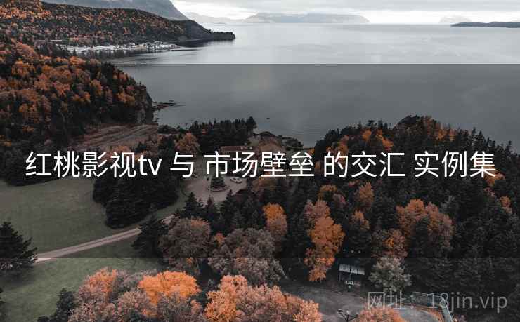 红桃影视tv 与 市场壁垒 的交汇 实例集  第1张