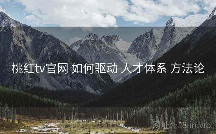 桃红tv官网 如何驱动 人才体系 方法论  第2张