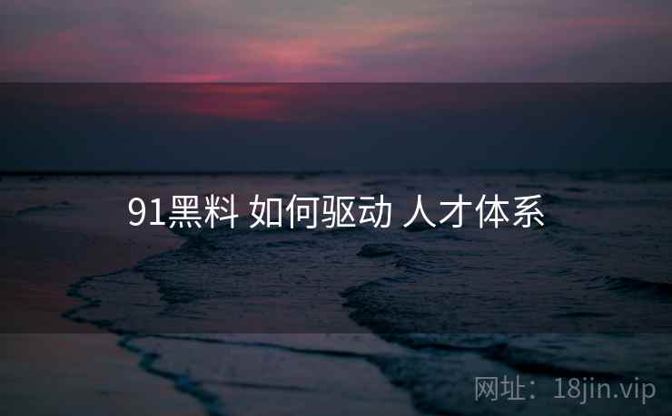 91黑料 如何驱动 人才体系  第2张