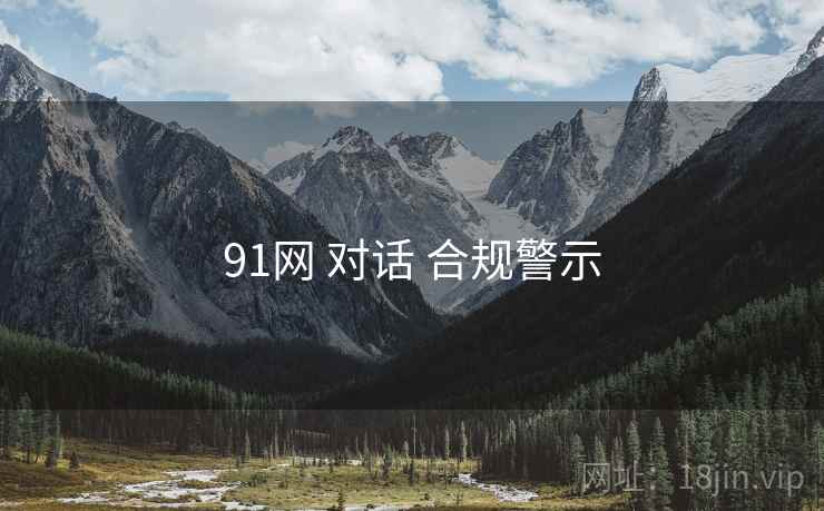 91网 对话 合规警示  第1张