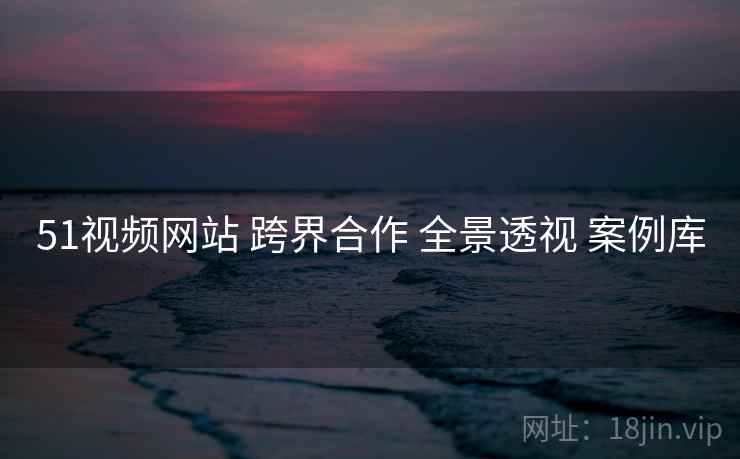 51视频网站 跨界合作 全景透视 案例库  第2张