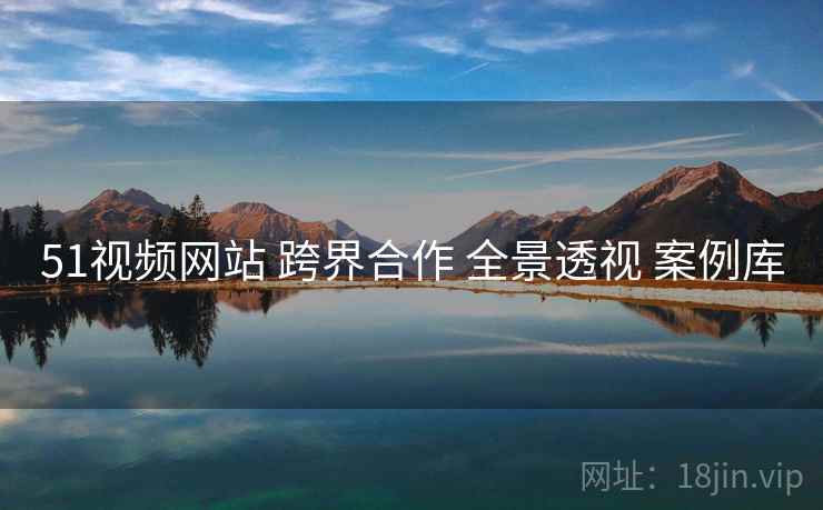 51视频网站 跨界合作 全景透视 案例库  第1张