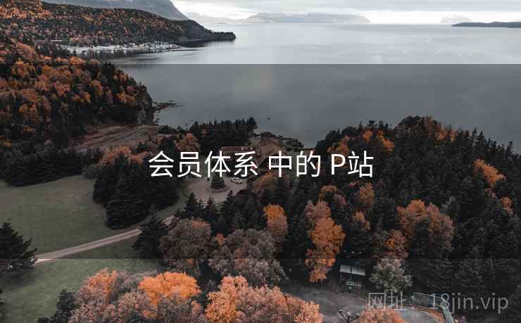 会员体系 中的 P站  第1张