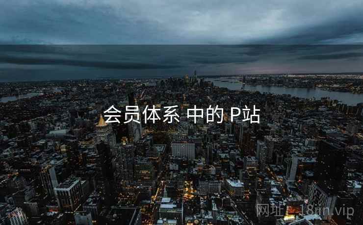 会员体系 中的 P站  第2张
