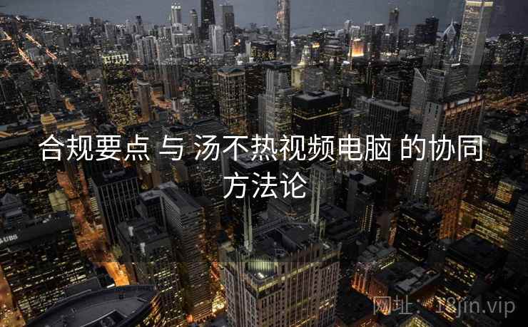 合规要点 与 汤不热视频电脑 的协同 方法论  第2张