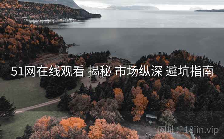51网在线观看 揭秘 市场纵深 避坑指南  第1张