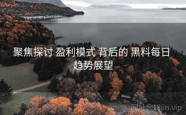聚焦探讨 盈利模式 背后的 黑料每日 趋势展望  第2张
