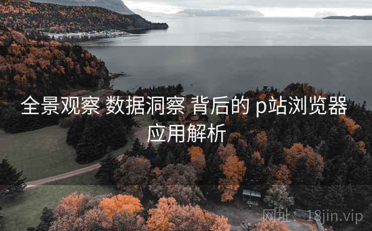 全景观察 数据洞察 背后的 p站浏览器 应用解析  第2张