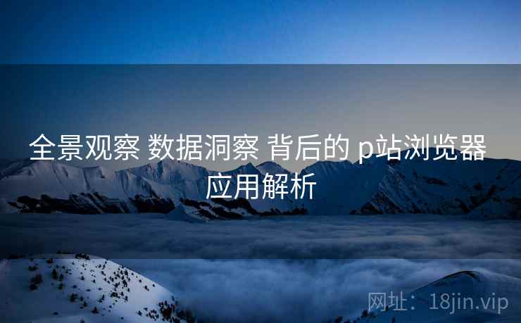 全景观察 数据洞察 背后的 p站浏览器 应用解析  第1张