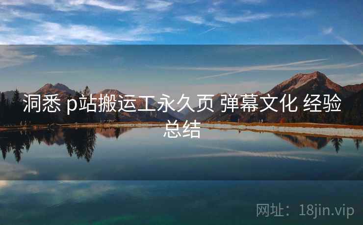 洞悉 p站搬运工永久页 弹幕文化 经验总结  第1张