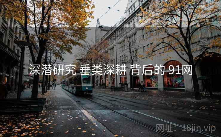 深潜研究 垂类深耕 背后的 91网  第1张