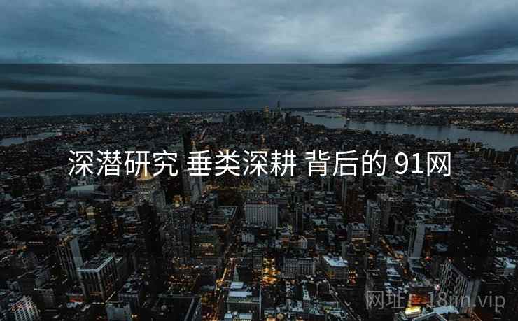 深潜研究 垂类深耕 背后的 91网  第2张